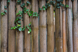 Canisse en Bambou - 1,50 x 3 m - Brise-vue naturel