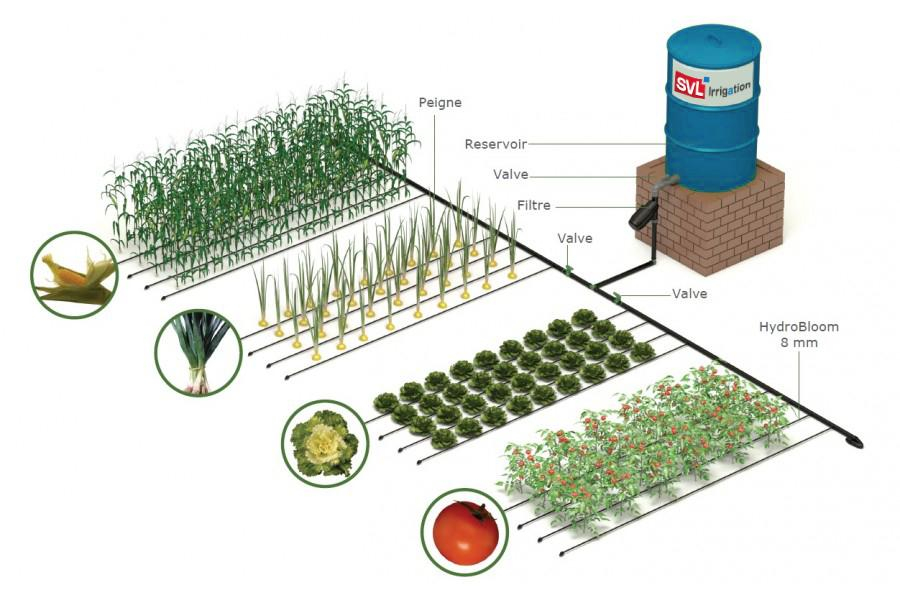 Arrosage Jardin Irrigation Goutte à Goutte Kit, 20 Pièces Arrosage Plantes Automatique, Avec Vanne, Système D'Arrosage Réglable Pour Jardin Maison Intérieur Extérieur Kit Arrosage Goutte à Goutte