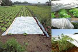 Voile d'hivernage / forçage P17 - 1.60 m x 100 m 